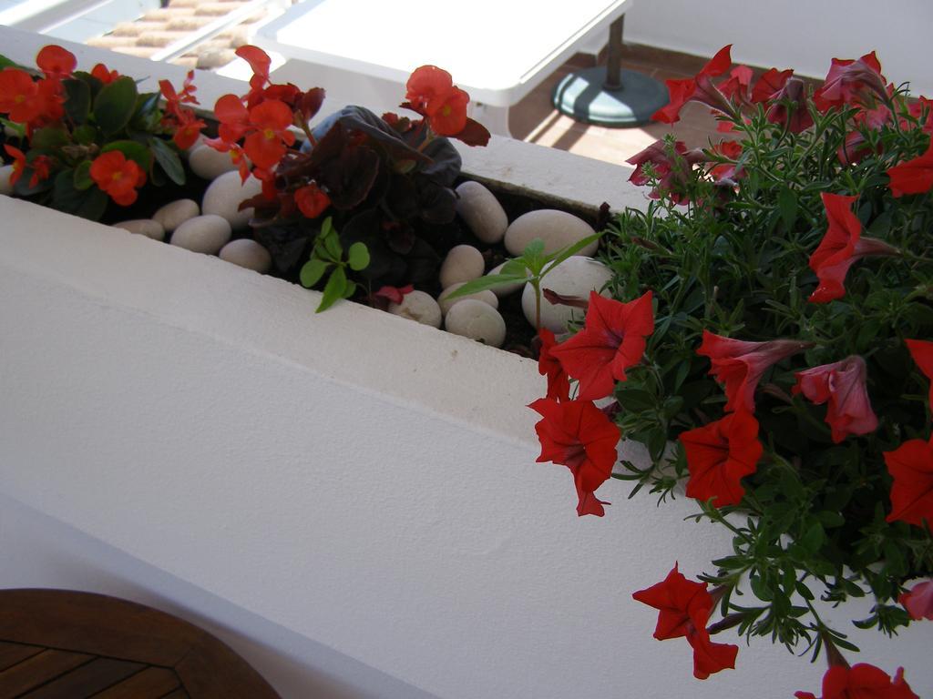 Palastura Apartments Ulcinj Exterior foto