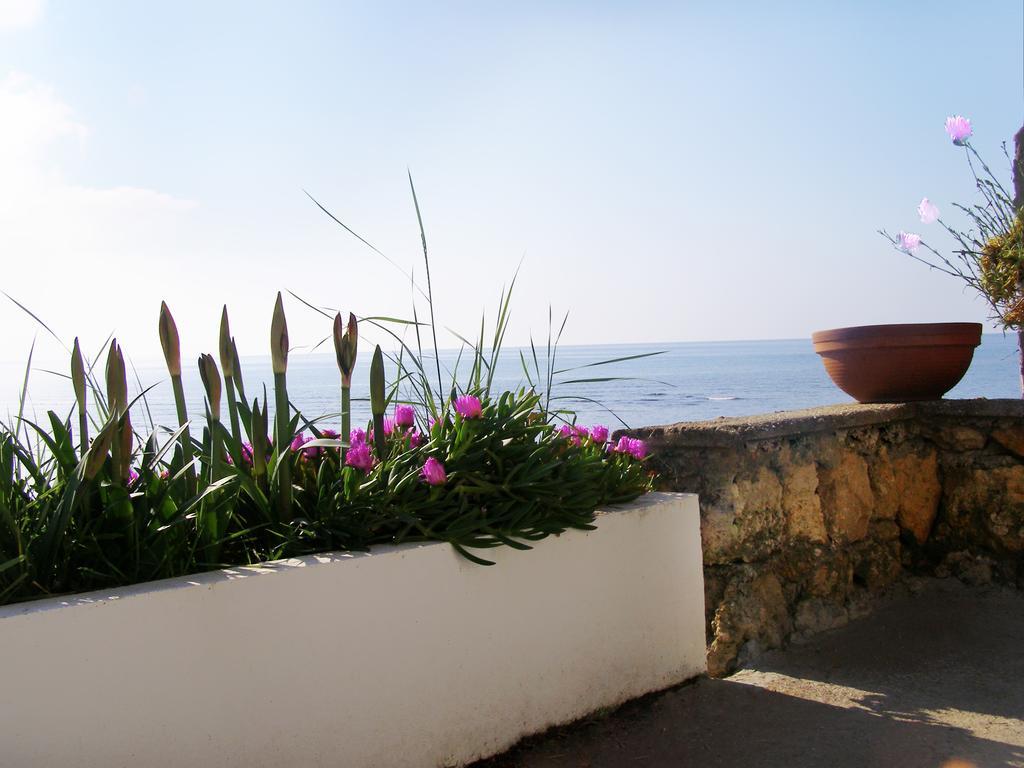 Palastura Apartments Ulcinj Exterior foto