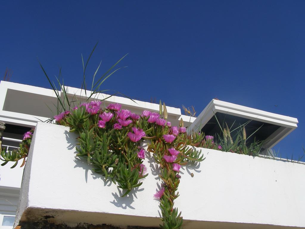 Palastura Apartments Ulcinj Exterior foto